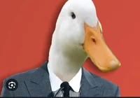 August the Duck