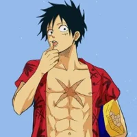 Monkey D Luffy
