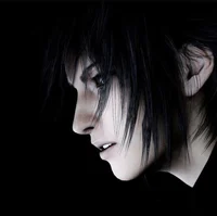 Noctis Lucis Caelum