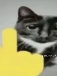 sentoko