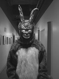 The bunny man
