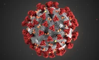 VIRUS