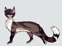 Hawkfrost