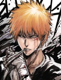 Ichigo kurusaki 