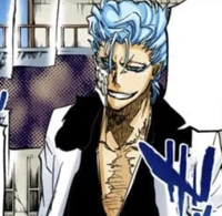 Grimmjow Jaegerjaquz