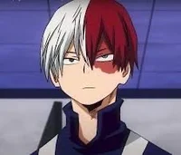 Shoto Todoroki