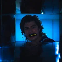 Steve Harrington 