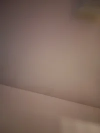 Molly
