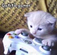 Gatito gamer