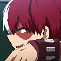 Shoto Todoroki 