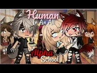 All alpha school