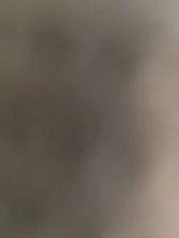 Whotecar