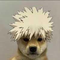 Bakugo dog