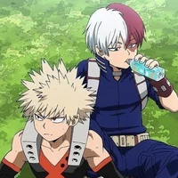 Todoroki y bakugo