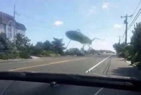The giant deadly bug