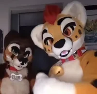 Furry Kidnappers