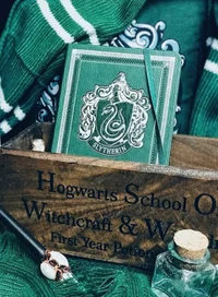 Slytherin gang 3