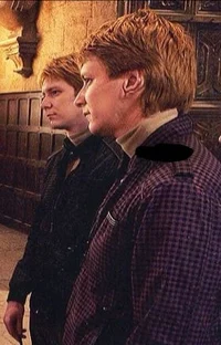 The weasley twins