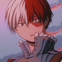 Shoto Todoroki 