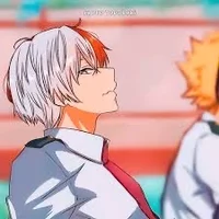Shoto Todoroki -bf