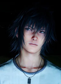Noctus Lucis
