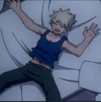 Katsuki Bakugou 
