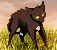 Ravenpaw