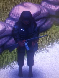 - Pz - Samman quadid