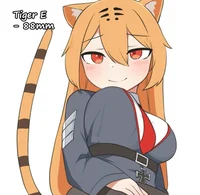 Tiger E