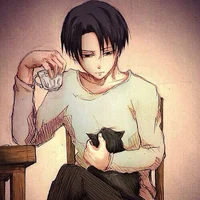Levi Ackerman