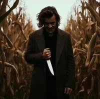Harry styles -killer