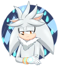 Silver The Hedgehog 