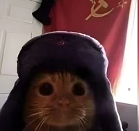 EL GATO SOVIETICO 