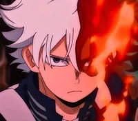 Shoto Todoroki