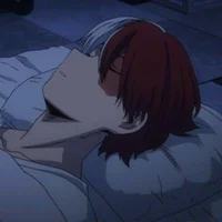 Shoto Todoroki 