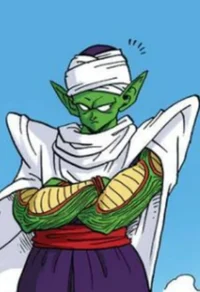 Piccolo