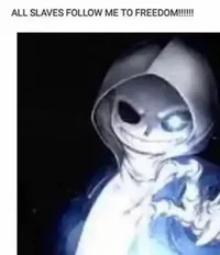 Sans freedom fighter