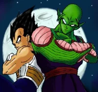 Vegeta and Piccolo