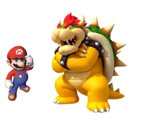 Mario and Bowser