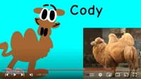 Cody Camel