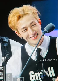 Bang Chan 