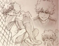 BakuDekuYN poly