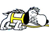 Bad Snoopy ccccccccc