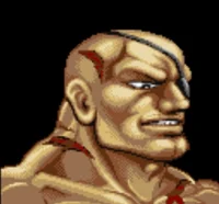 Sagat