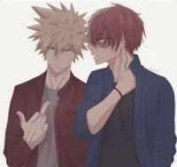 Shoto and bakugo