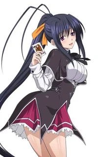 Akeno Himejima 