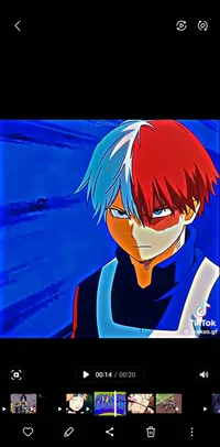 Todoroki