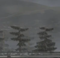 Lonely Winter Stroll