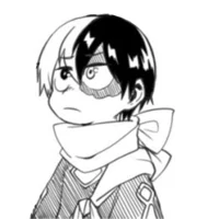 Shoto Todoroki 