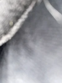 Comfort AI